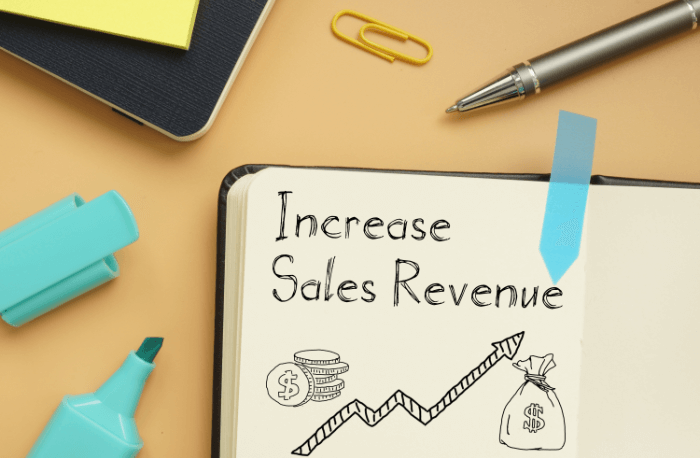 How to Drive Revenue with A B2B SaaS Sales Process in 2026